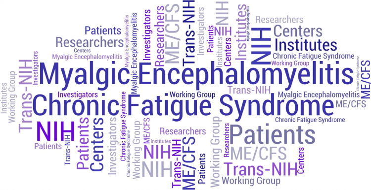 What is ME/CFS?, Myalgic Encephalomyelitis/Chronic Fatigue Syndrome (ME/CFS)